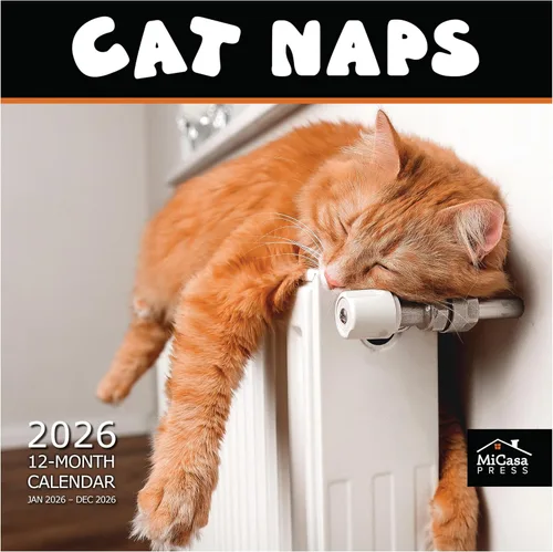 Miniatura 9 de MICASA PRESS Calendario de pared de gatos 2026 de 12 meses 12 x 24 pulgadas abierto Papel grueso y resistente Regalo de vacaciones Lindo