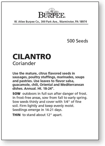 Miniatura 2 de Burpee Cilantro 500 Semillas de Cilantro