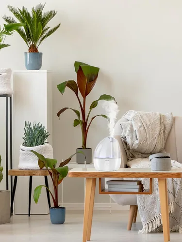 Miniatura 6 de Humidificador de niebla fría para dormitorio, humidificadores pequeños de 2L para dormitorio y oficina, humidificador de 25 dB para habitación