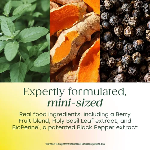 Miniatura 4 de MegaFood Suplemento de curcumina de cúrcuma de cuerpo entero Minis, suplemento de cúrcuma con pimienta negra, 237 mg de curcuminoides por porción