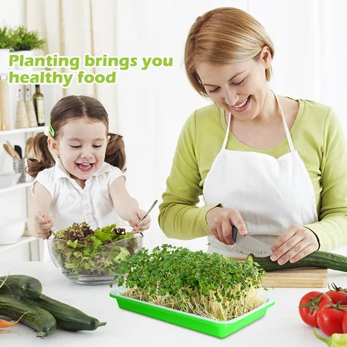 Miniatura 7 de EBaokuup Bandeja de germinación de semillas con orificios de drenaje, bandejas de propagación de germinación de plantas de jardín sin BPA, bandeja