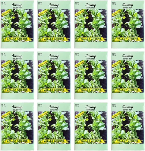 Miniatura 24 de Juego de 12 paquetes de semillas de verduras de roqueta de rúcula, crea un jardín de lujo, todas las semillas son reliquias, 100% sin OMG