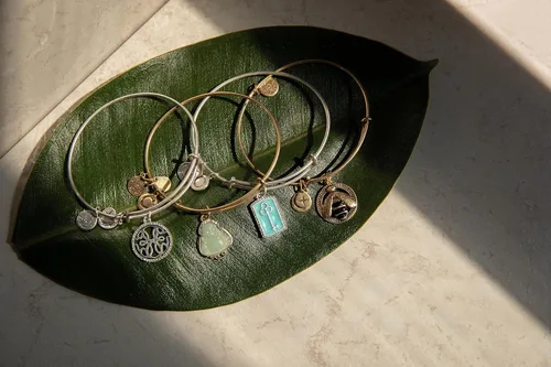 Miniatura 2 de Alex and Ani Pulsera Camino de Símbolos, Camino de la Vida