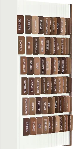 Miniatura 9 de Pestañas bíblicas, suministros de estudio bíblico, pestañas laminadas de diario bíblico para mujeres, hombres, niños, etiquetas bíblicas