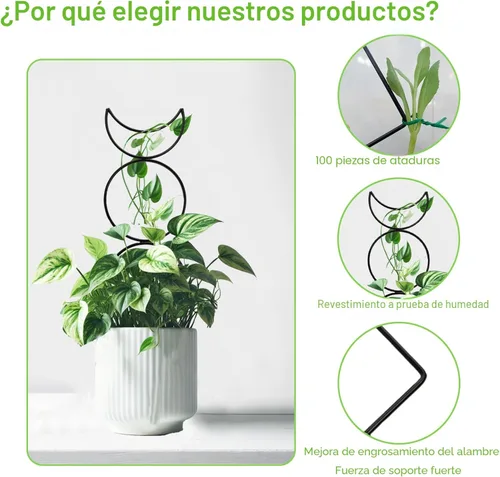 Miniatura 6 de 4 Paquetes de Enrejados para Plantas Trepadoras de Interior, HENABLE Enrejado de Metal Pequeño para Jardín para Plantas en Macetas al Aire Libre