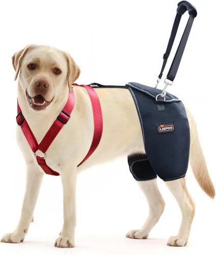 Miniatura 11 de Soporte de cadera para perro, soporte ajustable para piernas de perro para displasia de cadera, artritis/alivio del dolor, estabilizador de rótula