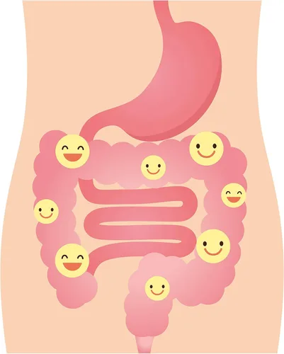 Miniatura 7 de DrFormulas Probióticos de arándano para mujeres, salud vaginal y tracto urinario con fibra prebiótica y D manosa Nexabiotic Feminine Health