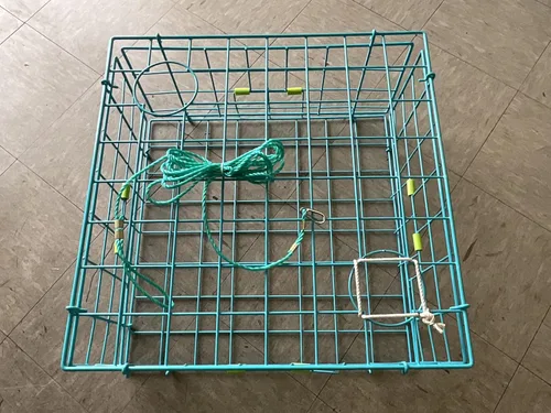 Trampa plegable para cangrejos legal del estado de California de 24 pulgadas, de lujo, alambre de acero recubierto de vinilo, plegable para un fácil