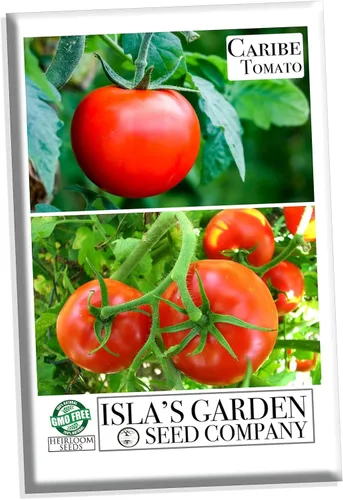 The Caribe Caribbean Semillas de tomate para plantar, más de 100 semillas tradicionales por paquete, semillas de jardín de Isla (semillas de jardín