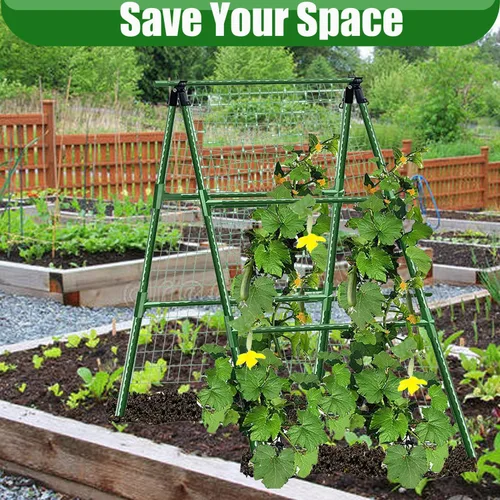 Miniatura 2 de Enrejados de pepino en un marco para plantas con soporte verde enrejado para pepino, plantas trepadoras, verduras, flores (verde) 47 x 15 pulgadas