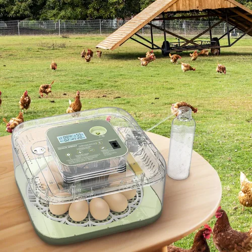 Miniatura 7 de Incubadoras para incubar huevos, capacidad de 12 huevos, incubadora de huevos con giro automático de huevos y control de humedad para todas las aves