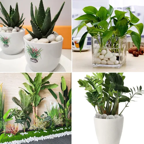 Miniatura 5 de Rocas blancas de río de 20 libras, guijarros pulidos de 1-2.2 pulgadas para plantas, piedras decorativas para paisajismo. Suculentas, manualidades