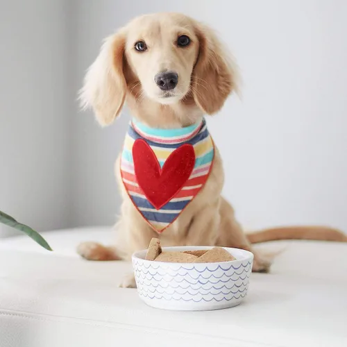 Miniatura 5 de WaggoTazón para perro de ola dibujada, M, Blanco