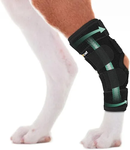 Soporte para Pata Trasera de Perro, Tobillera para Pata Trasera de Perro, Envoltura de Compresión con Fuerte Soporte para Articulación del Corvejón