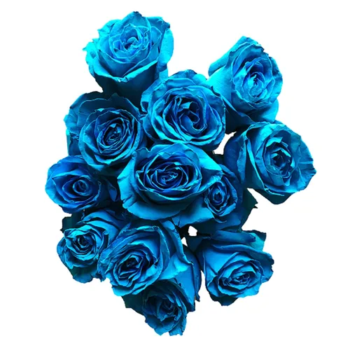 Miniatura 4 de Rosas arcoíris recién cortadas de Flower Explosion
