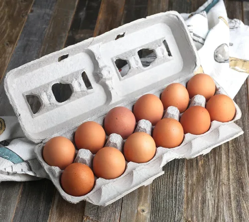 Miniatura 7 de MT Products - Cartones de huevos vacíos impresos con capacidad para hasta doce huevos, 1 docena grande, caja de huevos de papel de pulpa natural