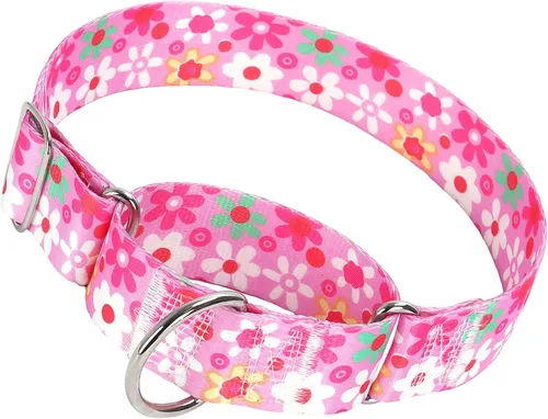 Miniatura 19 de Collar Martingale para Perro de 1.5 Pulgadas de Ancho - Diseño de Calavera Extra Resistente para Perros Grandes, Collar de Entrenamiento Ajustable