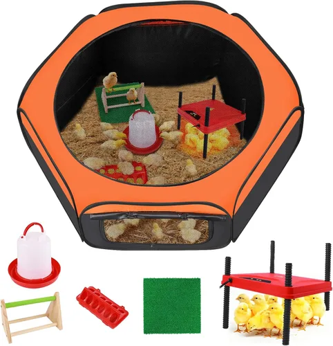 Miniatura 9 de Caja de criadores de pollitos, caja de criador de doble puerta mejorada para kit de iniciación de pollitos, suministros de corral de pollo para Caja