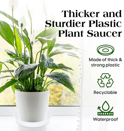 Miniatura 3 de SLS SUPPLY FLORA - Platillos duraderos para plantas, paquete de 12 tamaños surtidos, platillos para macetas, elegantes platillos para interiores