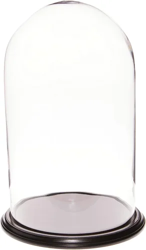 Miniatura 7 de Plymor 11.75" x 20" Pantalla de cristal Dome Cloche (base de nogal)