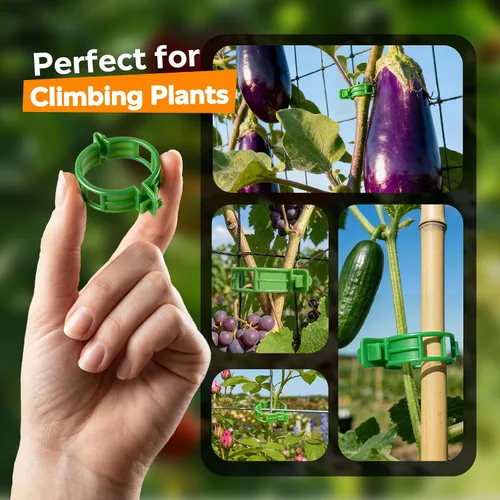 Miniatura 5 de 100 piezas de clips para tomate para plantas trepadoras, clips de soporte de planta de enrejado de plástico para jardín, clips reutilizables
