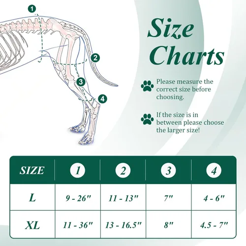 Miniatura 6 de Rodillera para perros – Soporte para problemas de ligamento cruzado anterior y articulaciones de rodilla con terapia de luz infrarroja roja, alivio