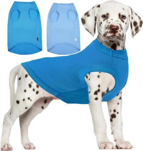 Camisa azul en blanco para perros,Camisetas grandes para perros y niñas,Camiseta lisa de bulldog francés,L azul real Azul y Royal