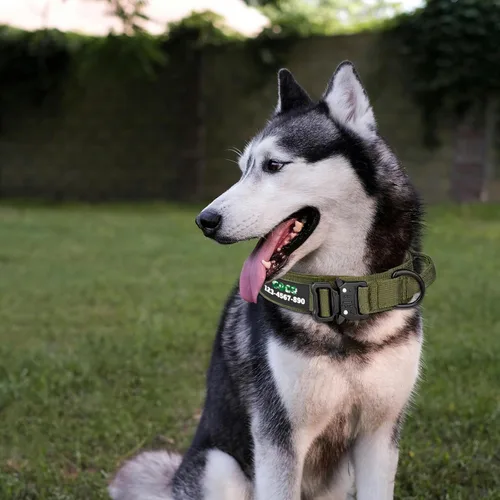 Miniatura 4 de Collar táctico personalizado para perro con parches de nombre y números, collar de perro personalizado con hebilla de metal de liberación rápida
