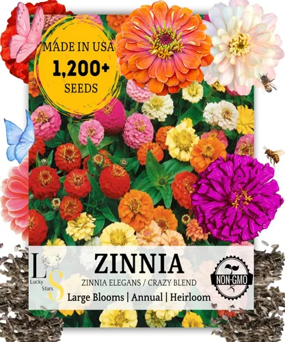 Más de 1200 semillas de zinnia de mezcla loca para plantar, tolerantes al calor y la sequía, semillas de Zinnia Elegans Lilliput, mezcla de flores