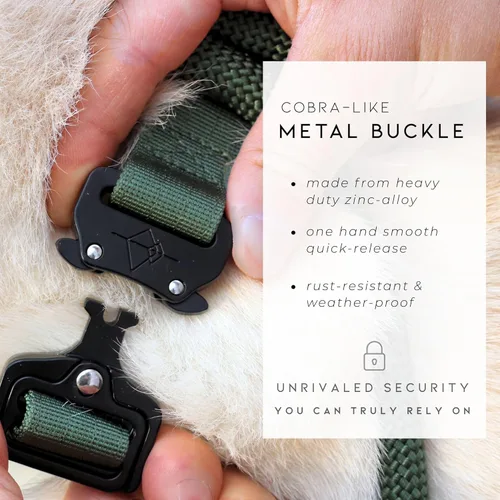 Miniatura 4 de ROAM - Collar para perro, collar de alta calidad, ajustable, de nailon resistente con hebilla metálica de liberación rápida
