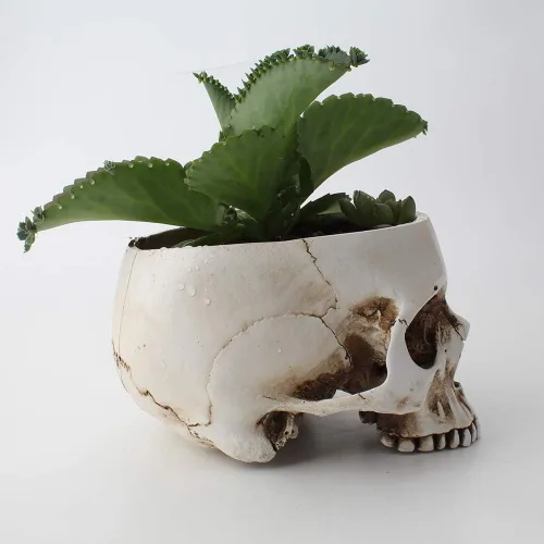 Miniatura 3 de Mikayoo Soporte para bolígrafo de calavera, soporte para brochas de maquillaje, soporte para bolígrafos, tocador, escritorio de oficina, caja