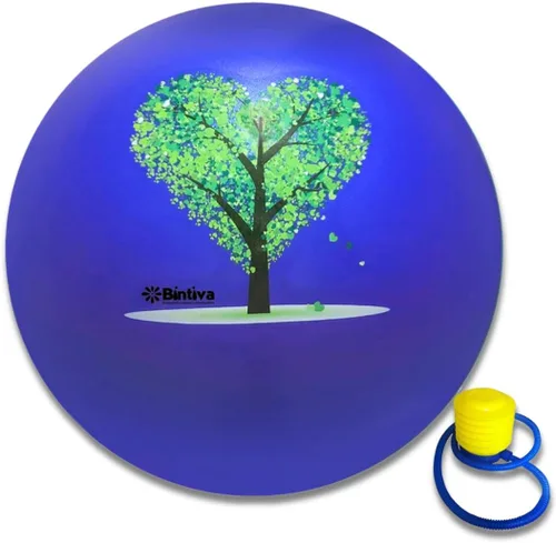 Miniatura 12 de bintiva Pelota de ejercicio