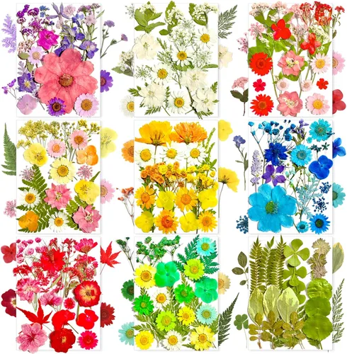 Miniatura 9 de MIKIYA 90 piezas de flores secas prensadas negras para moldes de resina, hojas florales secas a granel naturales reales para manualidades de arte