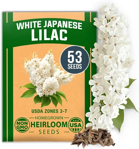 Miniatura 103 de HOME GROWN Mezcla de semillas germinantes de primera calidad, microgreens 118,200 semillas para cultivo en interiores, brócoli, alfalfa, rábano