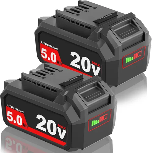 Paquete de 2 baterías de repuesto de 5.0Ah para batería Skil de 20 V BY519601 BY519603 BY519702 BY519701, compatible con herramientas eléctricas