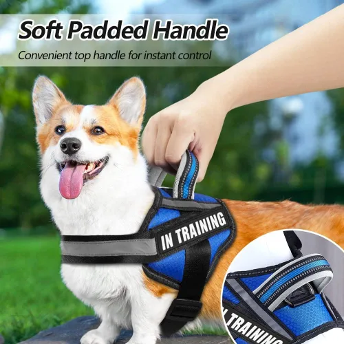 Miniatura 3 de Chaleco con arnés para perro y juego de parches, arnés de perro de servicio en entrenamiento de Animire con 10 parches para perros, chaleco Azul