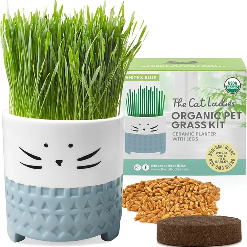 Miniatura 8 de The Cat Ladies Hierba orgánica para gatos de interior - Kit de cultivo con mezcla de semillas orgánicas, tierra y maceta para gatos blancos. Control