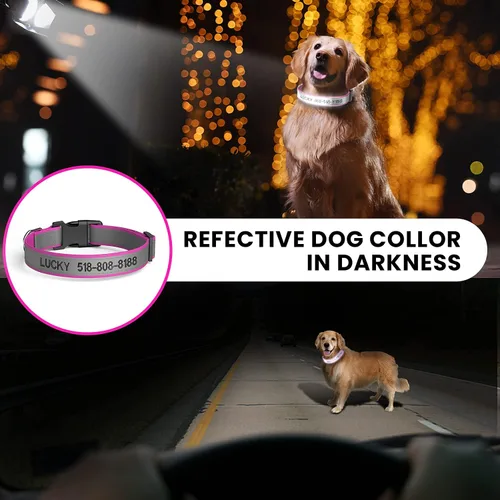 Collares de perro personalizados, collar de perro bordado reflectante con nombre y número de teléfono en naranja, negro, rosa, rojo y cian, para