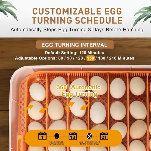 Miniatura 3 de Serie IV - Incubadora profesional de 56 huevos para criadores, control de humedad y temperatura preciso basado en sensores automáticos, espaciado