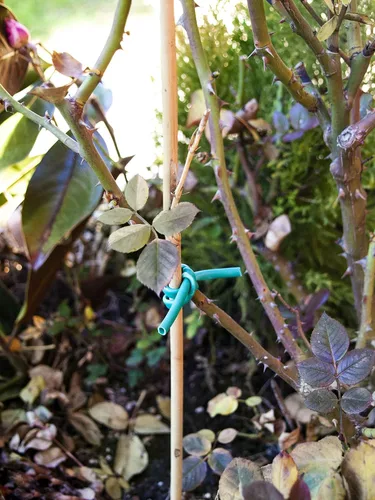 Miniatura 5 de Luster Leaf - 868 0868 Lazo elástico para jardinería