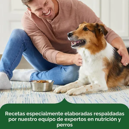 Miniatura 6 de Nutrish Rachael Ray - Comida seca para perros adultos, receta de pollo y verduras reales, bolsa de 5 libras