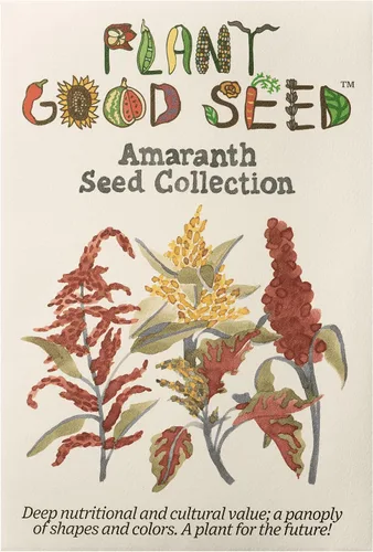 Miniatura 7 de Plant Good Seed Semillas orgánicas de tinte rojo hopi para plantar: hojas comestibles y semillas negras, flores rojas escarlatas, paquete de 600