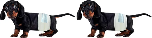 Miniatura 11 de BV Pañales para Perros Machos Medianos (Cintura 13-23 pulgadas) Súper Absorbentes – 50 Unidades Desechables – Pañales para Perros con Indicador
