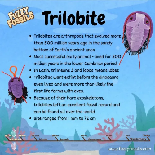 Miniatura 3 de GIANT MICROBES Fuzzy Fossils Trilobite Plush - Aprende sobre fósiles y criaturas prehistóricas, regalo único para familiares, amigos, científicos