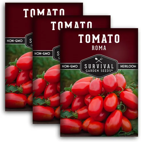 Miniatura 11 de Semillas de tomate Roma para plantar, variedad de pasta de reliquia determinada para salsa y enlatado, tomates italianos productivos, polinizados