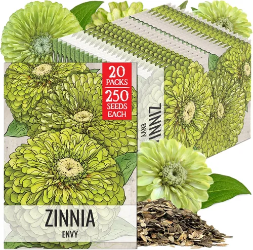 Miniatura 17 de Seed Needs California Giants - Semillas de zinnia – 250 semillas tradicionales para plantar Zinnia elegans – Cultiva flores anuales polinizadas