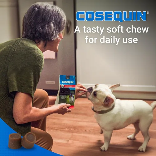 Miniatura 4 de Cosequin Minis - Masticables blandos de máxima fuerza con MSM Plus Omega3, 45