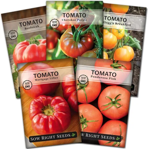 Sow Right Seeds - Colección de semillas de tomate estilo bistec para plantar - Filete de res, Kellogg's, morado Cherokee, levantador de hipotecas y