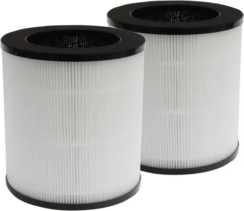 PUREBURG Filtro de repuesto compatible con purificador de aire Roto APF-C9, paquete de 2, carbón activado H13 True HEPA 2 en 1, filtración de 4