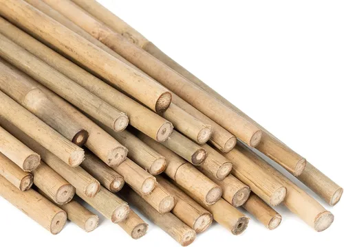 GAGINANG - Juego de 20 estacas de bambú para plantas de interior y exterior, 20 estacas de soporte para plantas para tomates, frijoles, plantas en